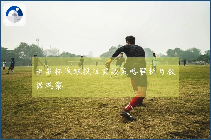世界杯滚球投注实战策略解析与数据观察