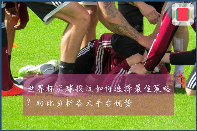 世界杯买球投注如何选择最佳策略？对比分析各大平台优势