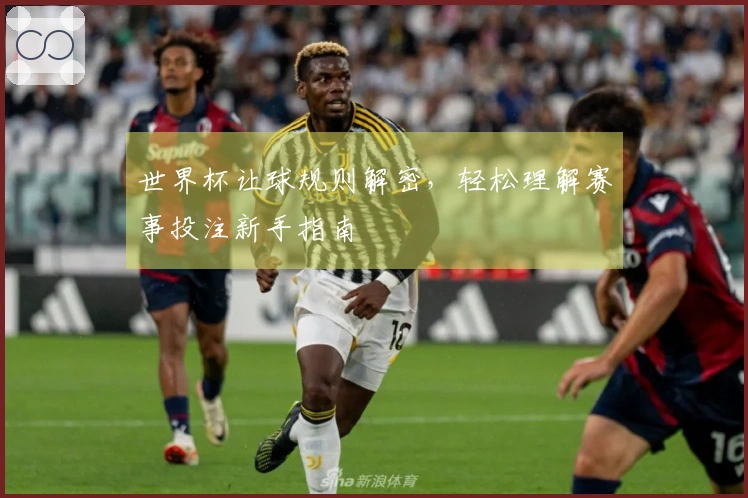 世界杯让球规则解密，轻松理解赛事投注新手指南