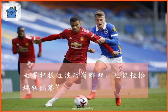 世界杯投注技巧有哪些，让你轻松玩转比赛？