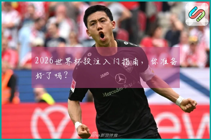 2026世界杯投注入门指南，你准备好了吗？
