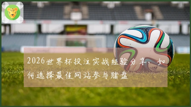 2026世界杯投注实战经验分享，如何选择最佳网站参与赌盘