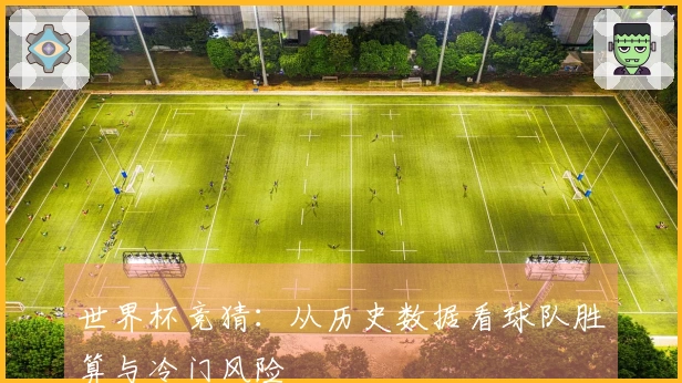 世界杯竞猜：从历史数据看球队胜算与冷门风险
