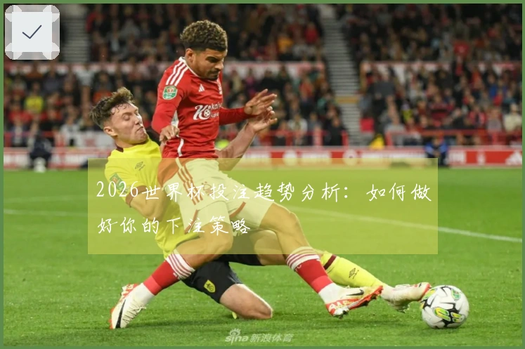 2026世界杯投注趋势分析：如何做好你的下注策略