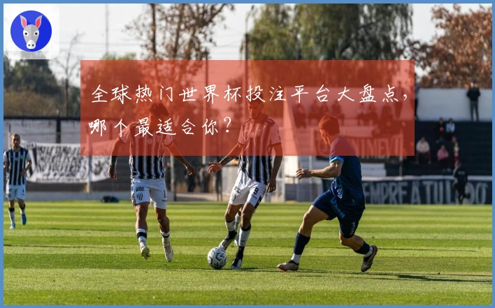 全球热门世界杯投注平台大盘点，哪个最适合你？
