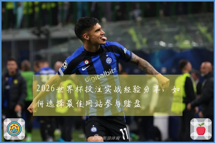 2026世界杯投注实战经验分享，如何选择最佳网站参与赌盘
