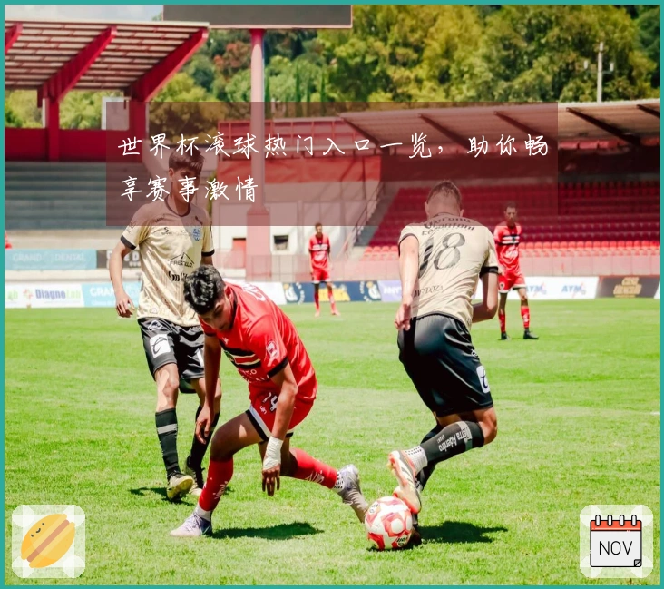 世界杯滚球热门入口一览，助你畅享赛事激情